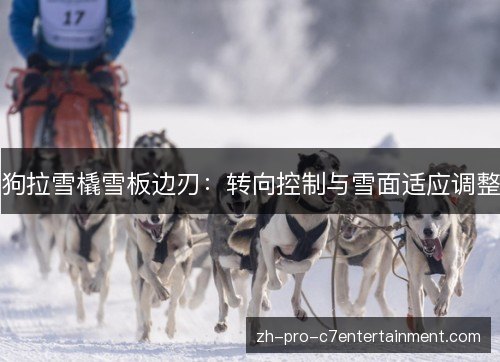 狗拉雪橇雪板边刃:转向控制与雪面适应调整 狗拉雪橇雪板边刃:转向控制与雪面适应调整